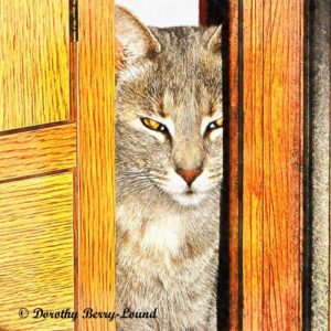 A cheeky gray tabby cat peeks through a doorway. The doorway is light wood and the door is only slightly open. We can see part of the head and shoulders of the cat. One ear is clearly pricked, the other is slightly hidden by the doorway. She is staring quite intently at you.
