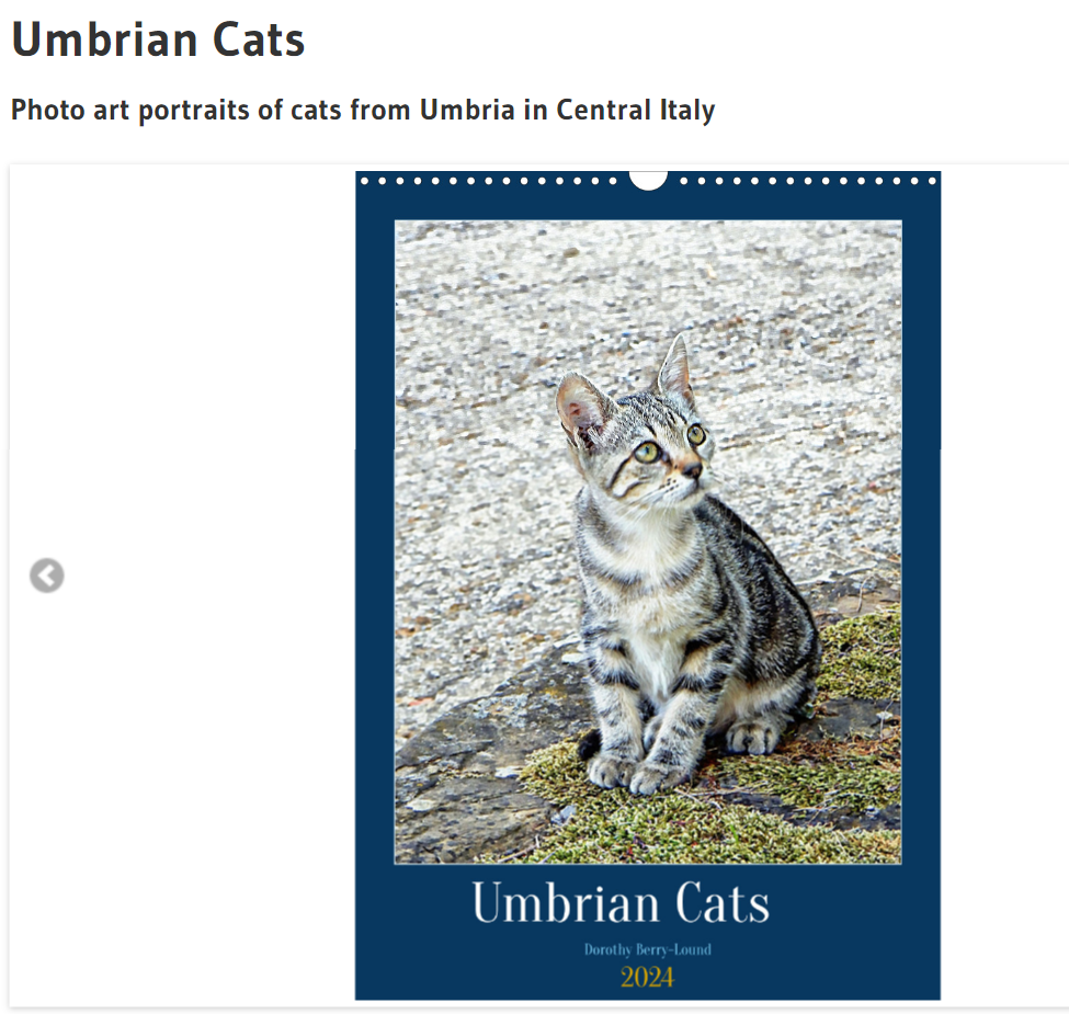 Front page of a 2024 calendar featuring a photo portrait of a tabby cat. Has the words Umbrian Cats, Dorothy Berry-Lound and 2024