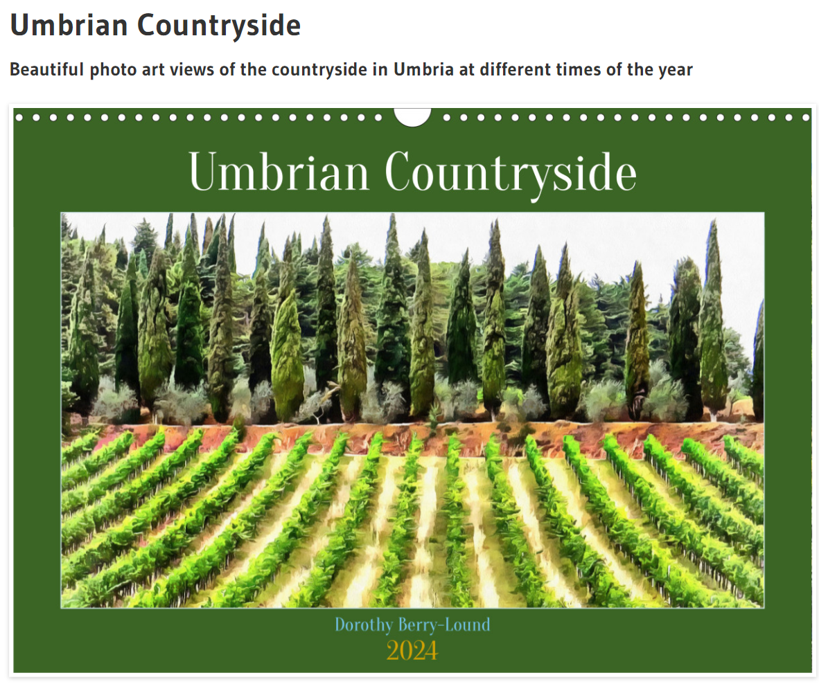 The front page of a calendar featuring an image of rows of grapes vines running vertically towards a group of conifers and woodland above. Features the words Umbrian Countryside, Dorothy Berry-Lound and 2024