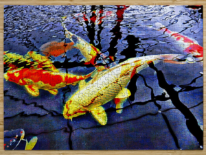 A colourful jigsaw puzzle featuring some koi carp near the surface of a pool.
