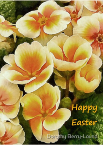 A greeting card featuring orange and peach primulas and the words Happy Easter