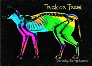 A skeletal cat in rainbow colours against a black background with the words Trick or Treat