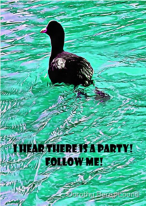 A greeting card showing a coot swimming away in blue water. Has the words Hear There is A Pary! Follow Me!